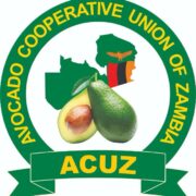 WhatsApp Image 2025-08-29 at 22.50.03